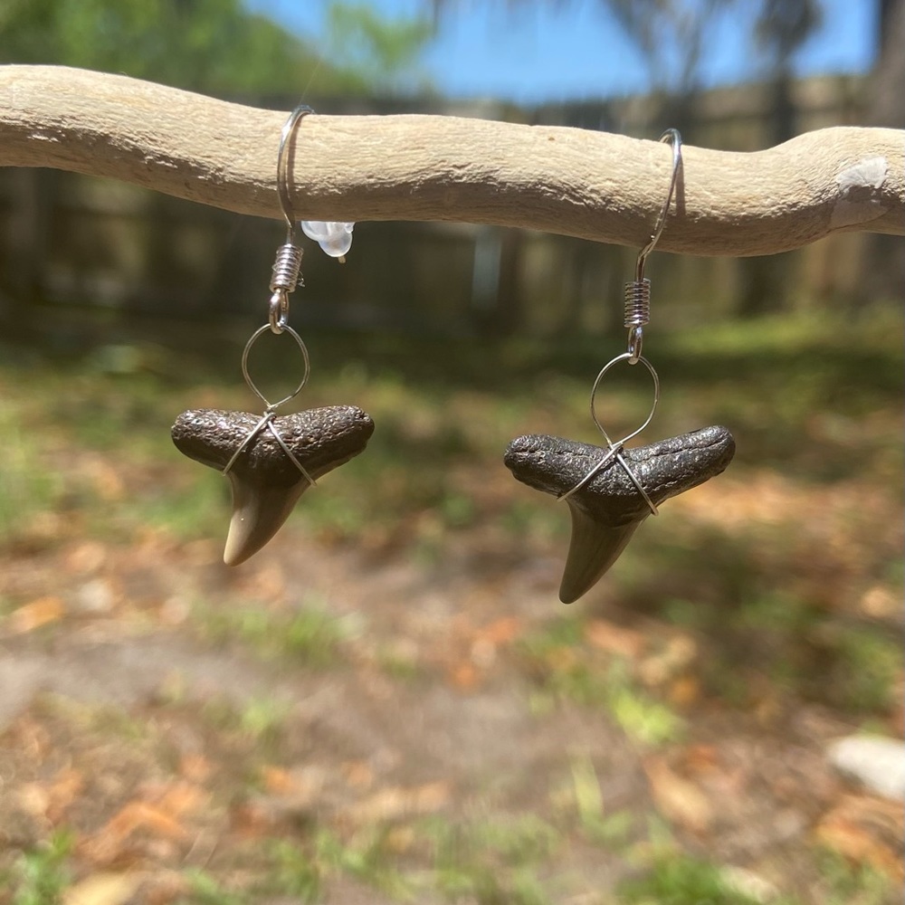 Shark Tooth Earrings